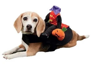 Ashland Halloween kopfloser Reiter reitend Haustier Kostüm Hund Größe S/P - Bild 1 von 4