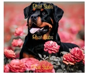 20oz Sublimation Tumbler Wrap Rottweiler In Roses Ready To Press Heat Transfer - Picture 1 of 1