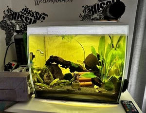 Fluval Aquarium komplett Set + CO2 Anlage 60 Liter - Bild 1 von 8