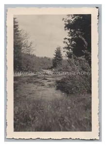 Grenzgebiet bei Kalterherberg 1936 - Grenze Landschaft - Altes Foto 1930er - Picture 1 of 2