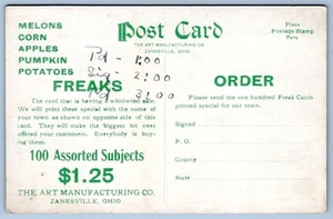 TARJETA POSTAL DE LA INDIANA DE ARTE PUBLICITARIO FREAK DE 1910 MFG CO ZANESVILLE OHIO BROOKVILLE - Imagen 1 de 2