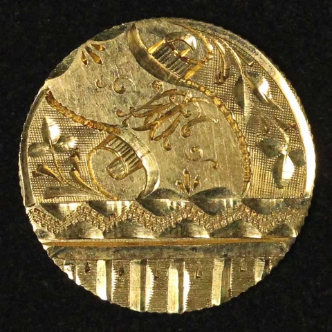 1889 Type III Gold Dollar Indian Princess Love Token - Free Shipping USA Cover