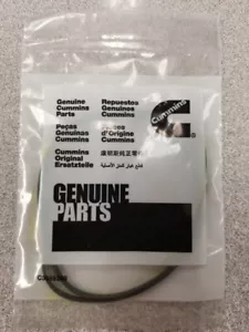 4000504 Cummins cylinder sleeve seal - Foto 1 di 2