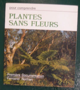 Les plantes sans fleurs – Pour comprendre - Imagen 1 de 1