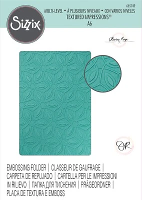 Sizzix Ornamental Pattern ML Embossing folder #665749 Retail $11.99 Olivia Rose - Image 1 of 4
