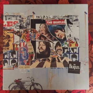 The Beatles Anthology • Laserdisc's • 8 Disc Box Set • Neuwertiger Zustand - Bild 1 von 7