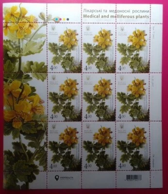 Stamp UKRAINE Chiropodium ordinary. Medicinal and honey-bearing plants 2017 - Image 1 of 3