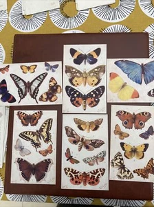 Rarely Offered Tuck’s Oilette Butterflies on the Wing Series 2 -Full Set Of 6! - Picture 1 of 2