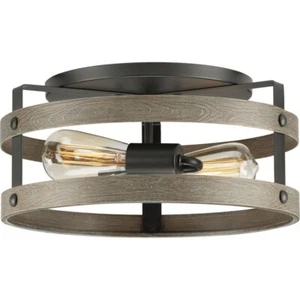 Progress Lighting P350169-143 Gulliver - 2 Light Flush Mount-Graphite Finish - Picture 1 of 4