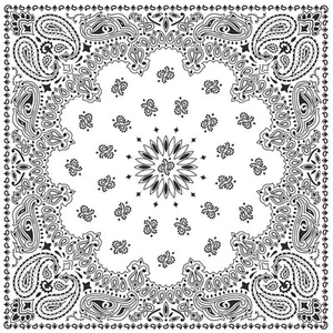 Carolina Manuf USA Paisley Bandanas - White with Hang Tag and UPC - Pack of 12 - Picture 1 of 1