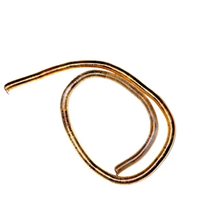 1 filo ottone a molla a compressione vintage (è stato usato per gioielli) - Foto 1 di 5