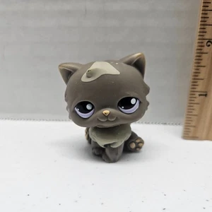 Littlest Pet Shop #973 GRAY PERSIAN CAT Purple Eyes Sitting - AUTHENTIC LPS - Picture 1 of 7