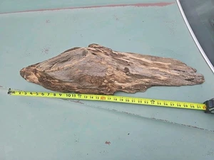 Reclaimed Live Edge Wood Lumber Tree Buhr Knot DIY Rustic Mount - Picture 1 of 21