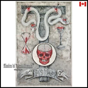 art painting contemporary modern men portrait skull brain snake gothic esoteric - Picture 1 of 24