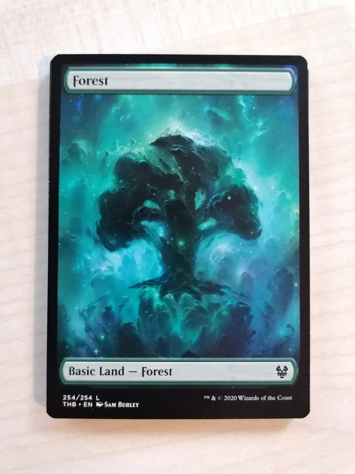 MTG MAGIC THE GATHERING THEROS BEYOND DEATH FULL ART #254 Forest - Bild 1 von 1