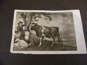 Mauritsuis Gravenhage Paulus Potter Bull Postcard - Picture 1 of 6