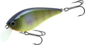 LUCKY CRAFT KJ FLAT 1.5 - 269 BE Gill (1qty) Top Quality Crank Bait - Picture 1 of 3