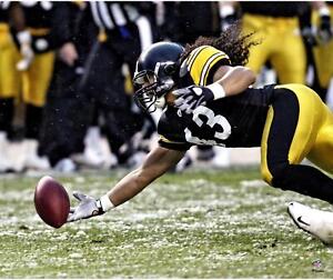 Troy Polamalu Pittsburgh Steelers Unsigned Recovering Fumble Photo
