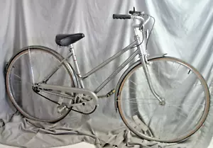 1970 Panasonic Tourist Cruiser Bike 17.5" Medium Shimano 3CG Steel USA Shipper:) - Picture 1 of 13
