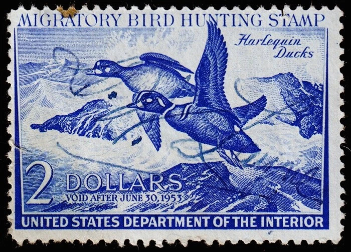 United States Hunting Permit Stamp Scott RW19 (1952) Used/Signed F, CV $15.00 C - Image 1 of 1