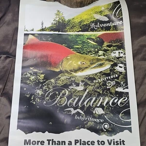 Chugach Tongass NATIONAL Forest Poster ADVENTURE SUBSTINANCE BALANCE INHERITANCE - Picture 1 of 13