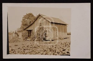 Beautiful RPPC of an Early Homestead. Woodburn, Oregon. C 1910's - Picture 1 of 2