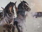 2 Montana Horses "Thelma & Louise" Signed Photograph by Cynthia Baldauf