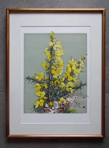Still Life of Yellow Flowers Gorse and Coconut Janet Swiss Lge Watercolour 1992 - Picture 1 of 6