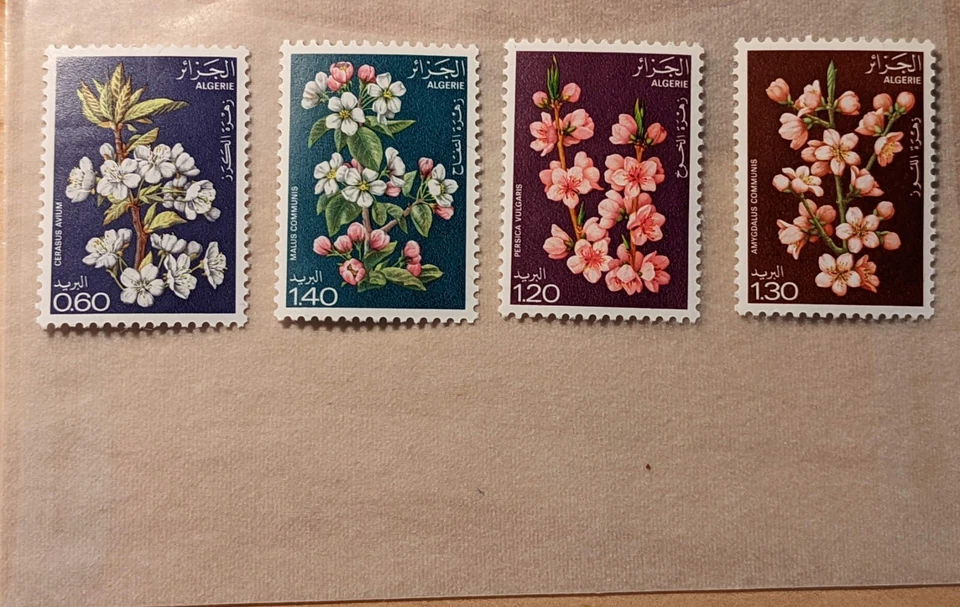 Stamp Algeria 1978 Fruit Tree Blossoms Set/4 featuring Cherry Apple Peach Almond - Image 1 of 1