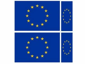 EUROPEAN FLAGS 2 x 200mm 2 x 100mm EURO Van Car Bumper Stickers Decals FLAG2B - Picture 1 of 1