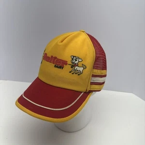 Vintage 3 Stripe Reiter Dairy Trucker hat Akron Ohio Snapback cap cows milk rare - Picture 1 of 23