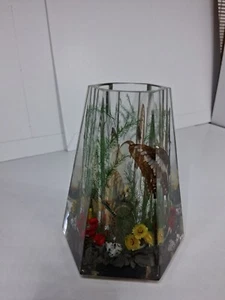 Jarrón Acrílico Años 70 Alas Mariposa Real Follaje Vintage Lucite Hexágono Cónico - Imagen 1 de 11