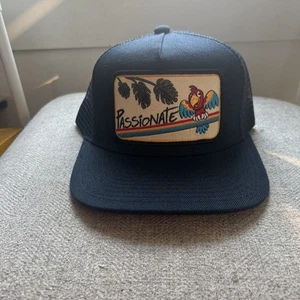 NEU Passionate Parrot VeeFriends x Bart Bridge Snapback Patch Mütze Gary Vee - Bild 1 von 4