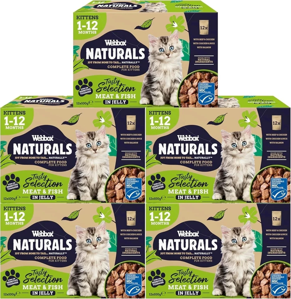 BRANDED Webbox Naturals Complete Kitten 1-12 Months Wet Cat Food, 60 x Meat & Fish in -