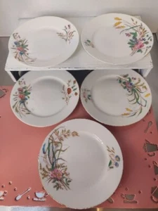 5 platos de ensalada antiguos franceses Limoges Tressemanes & Vogt D & C florales años 1890  - Imagen 1 de 13