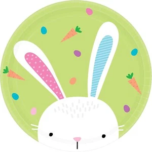 Hello Bunny Rabbit Animal Easter Spring Holiday Party 9" Paper Dinner Plates - Picture 1 of 1