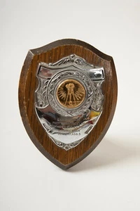 Eagle Sports Photography Club (B6B) Trophy Plaque (JSF6) Wood w/Emblem Camera - Picture 1 of 9