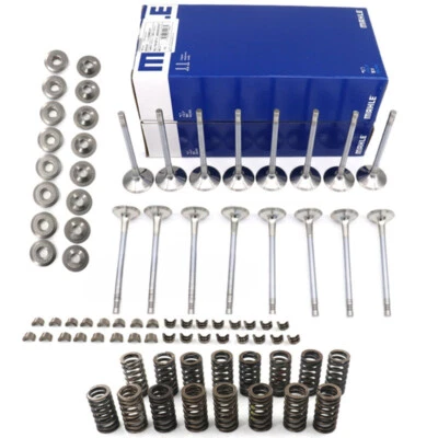 Juego de válvulas de escape de admisión Mahle 6 mm para Audi A4 Q5 VW GLI GTI Tiguan GTI 2.0T Foto 1 de 4