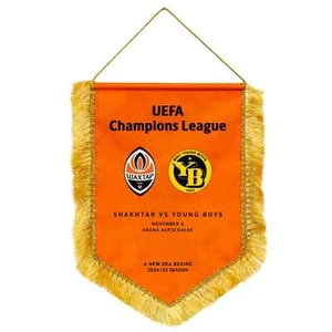 Offizieller Wimpel Schachtar Donezk Ukraine - Junge Jungen Schweiz 2024-2025 - Bild 1 von 1
