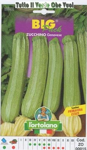 ZUCCHINO GENOVESE BIG PACK - SEMI ORTICOLI -  - Picture 1 of 1