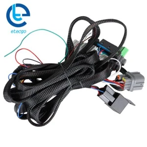 K Swap Conversion Harness K Series K20A K24 Jumper EK Fit For 99-00 Honda Civic - Picture 1 of 9