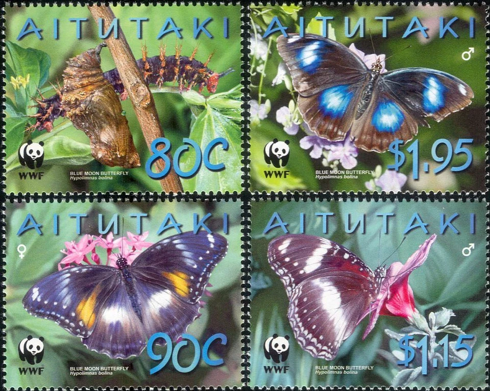 Aitutaki 2008 WWF/Blue Moon Butterfly/Insect/Nature/Conservation 4v set (b6548j) - Image 1 of 1