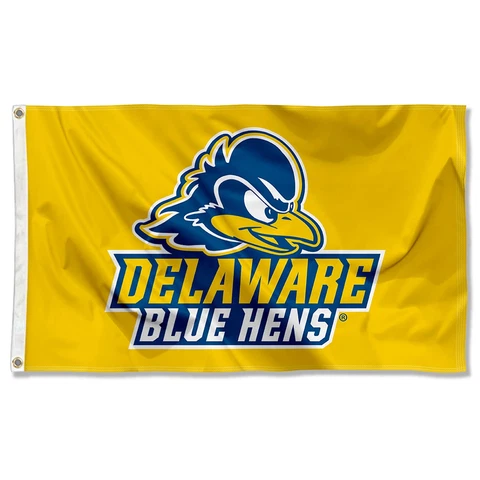 Delaware Blue Hens Gold Flag Large 3x5 Cover