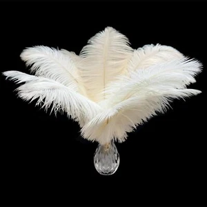 10pcs Natural White Ostrich Feathers 10-12 inch 25-30cm Bulk Feathers for Wed... - Picture 1 of 7