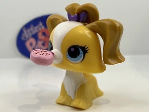 Malteser Hund #3010 - Authentic Littlest Pet Shop - Hasbro LPS - Bild 1 von 4