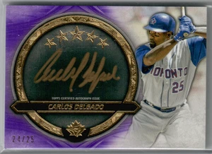 Carlos Delgado 2021 Topps Five Star Golden Graphs Auto Card Purple 24/25 GG-CD - Picture 1 of 2
