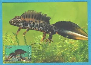 2023 Fauna de Moldavia, Libro Rojo de la República de Moldavia. Reptiles y batraquios - Imagen 1 de 2