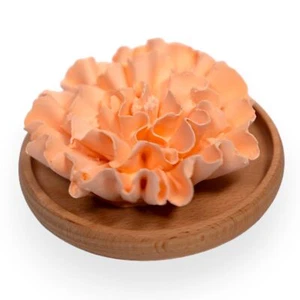 SINT Aroma Diffuser Diatomite Carnation Flower | Essential Oil Diffuser with ... - Picture 1 of 6