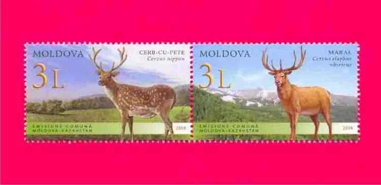 Moldavia 2008 Conjunto Kazajstán Fauna Animales Mamíferos Ciervos 2v se-inquilino Mi623-624 Foto 1 de 1