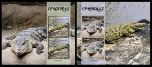 Sierra Leone 2024 Crocodiles. (259) - Picture 1 of 1